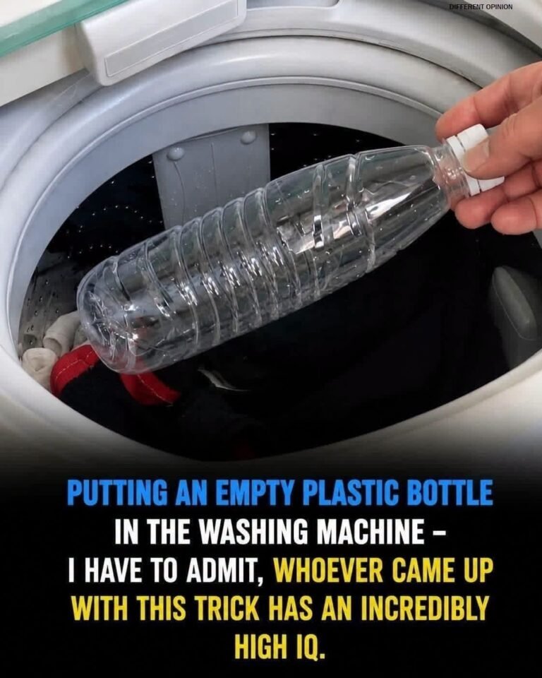 Why Do So Many People Put Plastic Bottles in the Washer? The Answer May Surprise You
