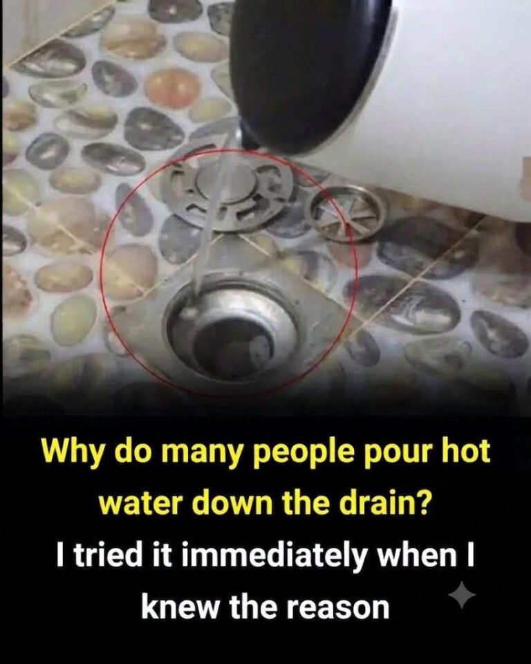 Can Hot Water Help Keep Drains Clean? Here’s What We Know