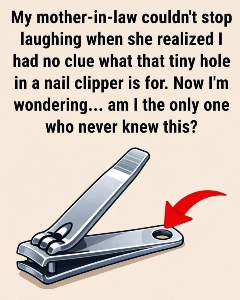 What’s the Small Round Hole on Your Nail Clipper For? The Tiny Detail with a Surprisingly Useful Purpose