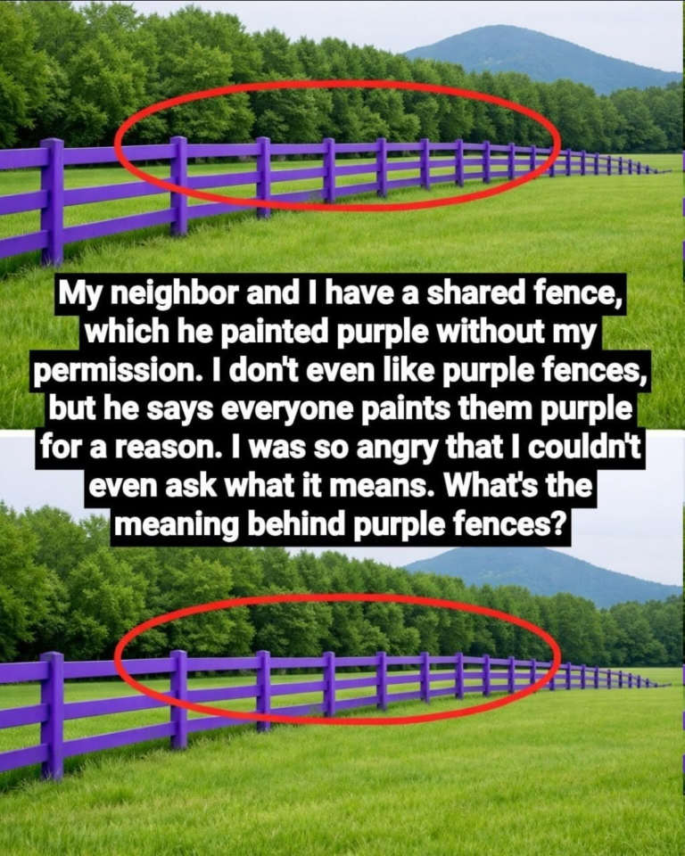 If You See a Purple Fence or Tree Mark—Stop Immediately. Here’s What It Really Means