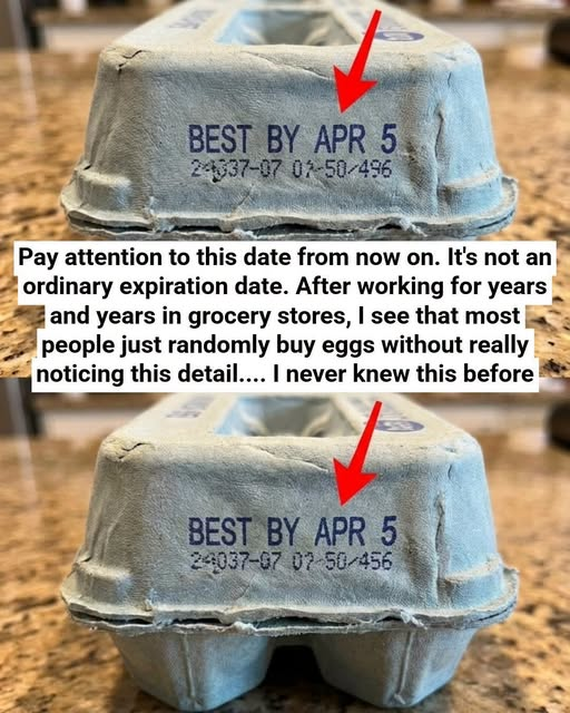 What the Numbers on Your Egg Carton Really Mean (And Why It Matters)