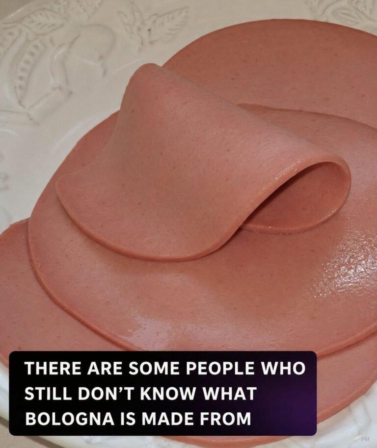 What Is Bologna Made Of?