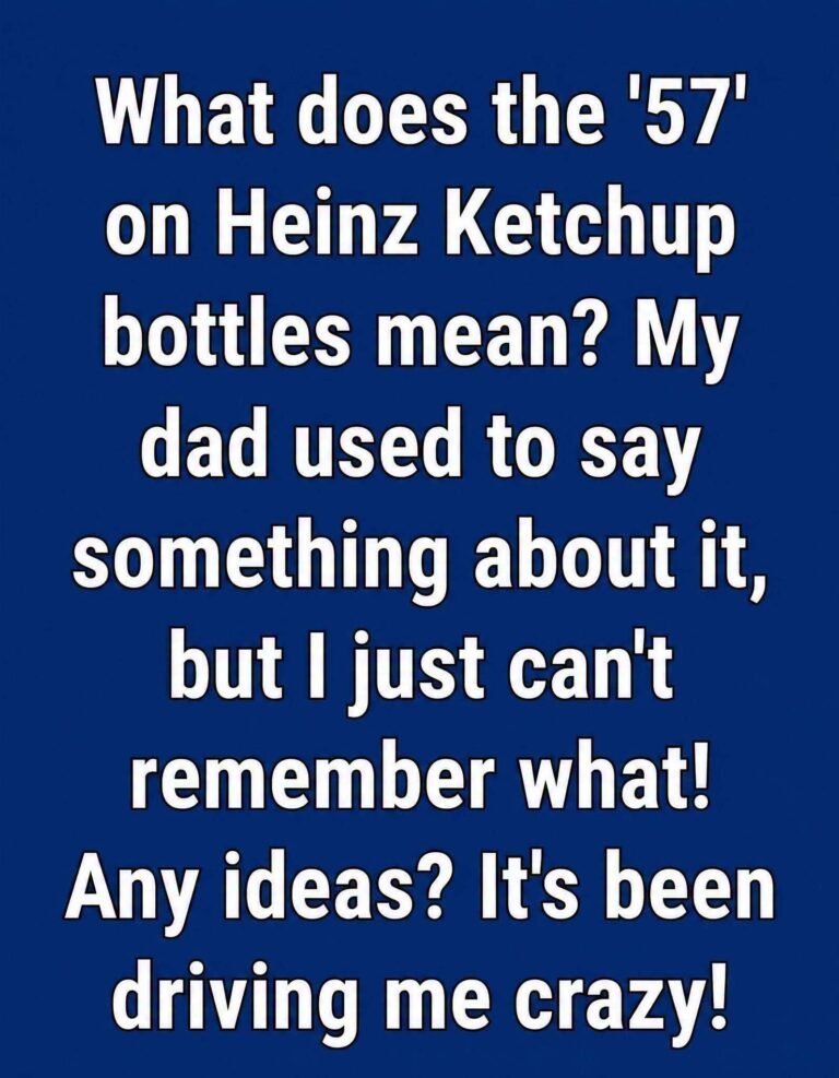 The Unbelievable Secret Behind the Iconic “57” on Every Heinz Ketchup Bottle Will Change How You See Shopping Forever