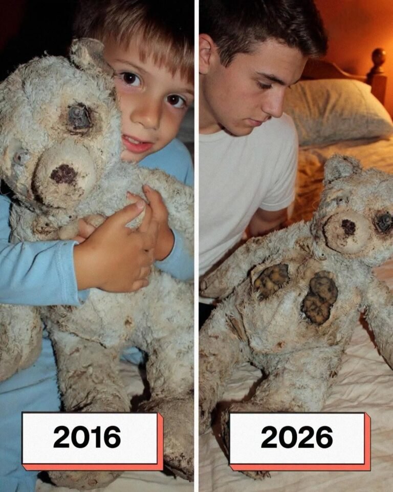 My Son Found a One-Eyed Teddy Bear in the Dirt – That Night, It Whispered His Name and Begged, Help Me!
