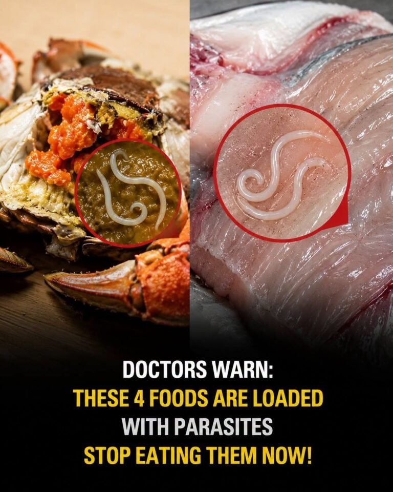 Doctors Issue Urgent Warning: Stop Eating These 4 Everyday Foods Immediately Before They Destroy Your Body From the Inside Out!