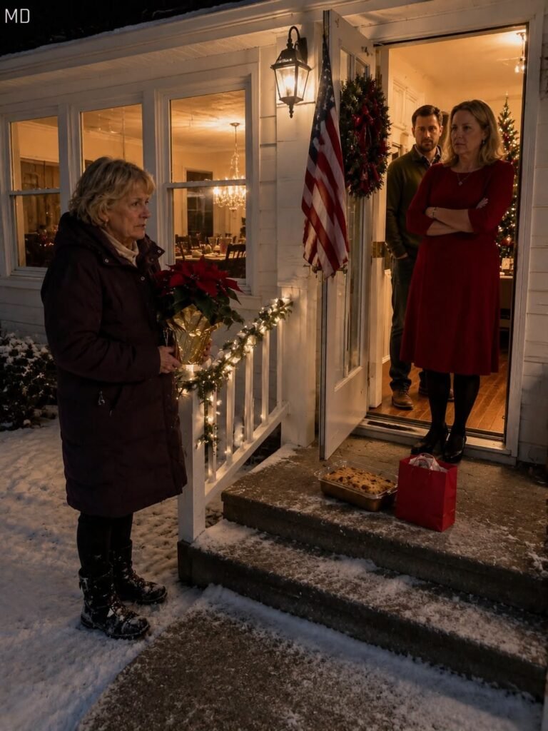 My Daughter-in-Law Turned Me Away on Christmas Eve — Eleven Days Later, My Son Needed My Signature
