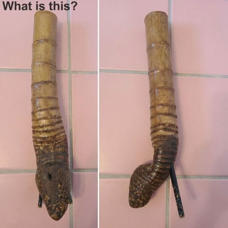 A brown object with ribs, standing 18 inches tall. What could it be?