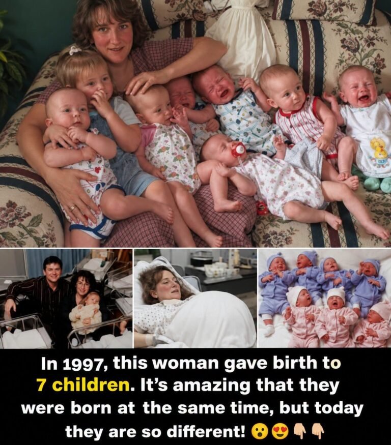 The World’s First Surviving Septuplets Celebrate Their 26th Birthday!