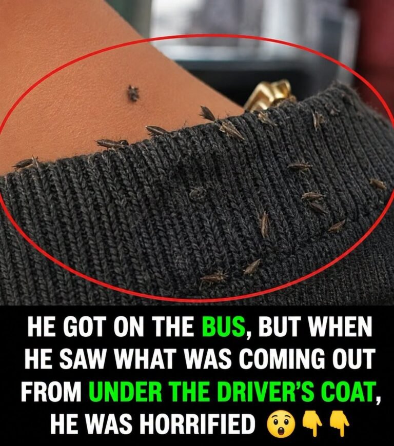 Man Draws Attention Online After an Unusual Case of Severe Head Lice