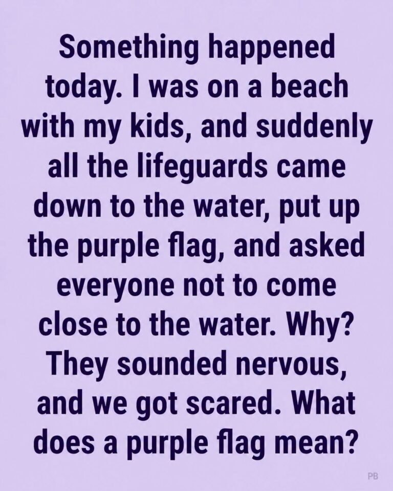 DANGER IN THE WATER WHY THAT PURPLE FLAG AT THE BEACH COULD SAVE YOUR LIFE A BEACH SAFETY WARNING