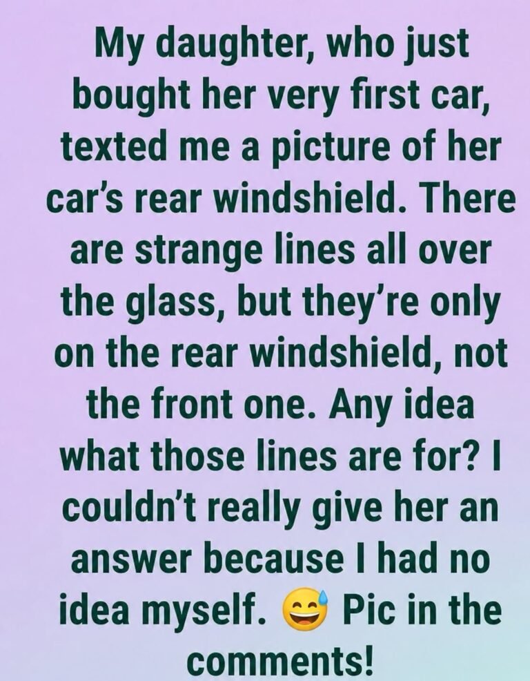 Ever Wondered What Those Lines on Your Rear Windshield Actually Do?