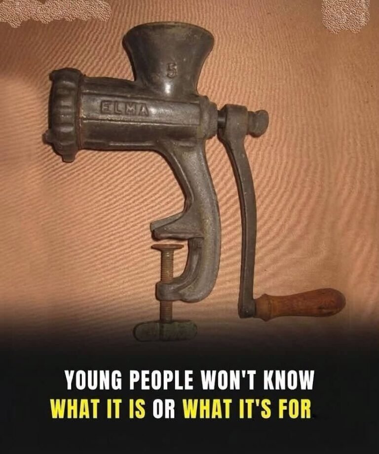The mysterious metallic object that intrigued the Internet: do you know what it was used for?