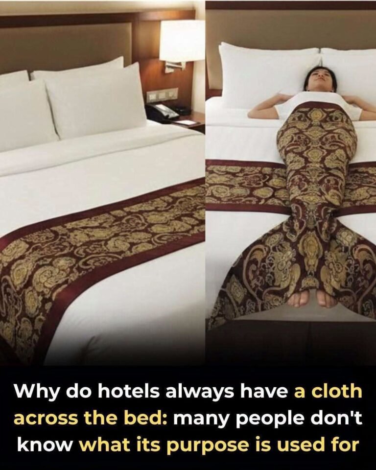 What’s the Purpose of the Fabric Strip Across Hotel Beds? The Answer Is Simpler Than You Think