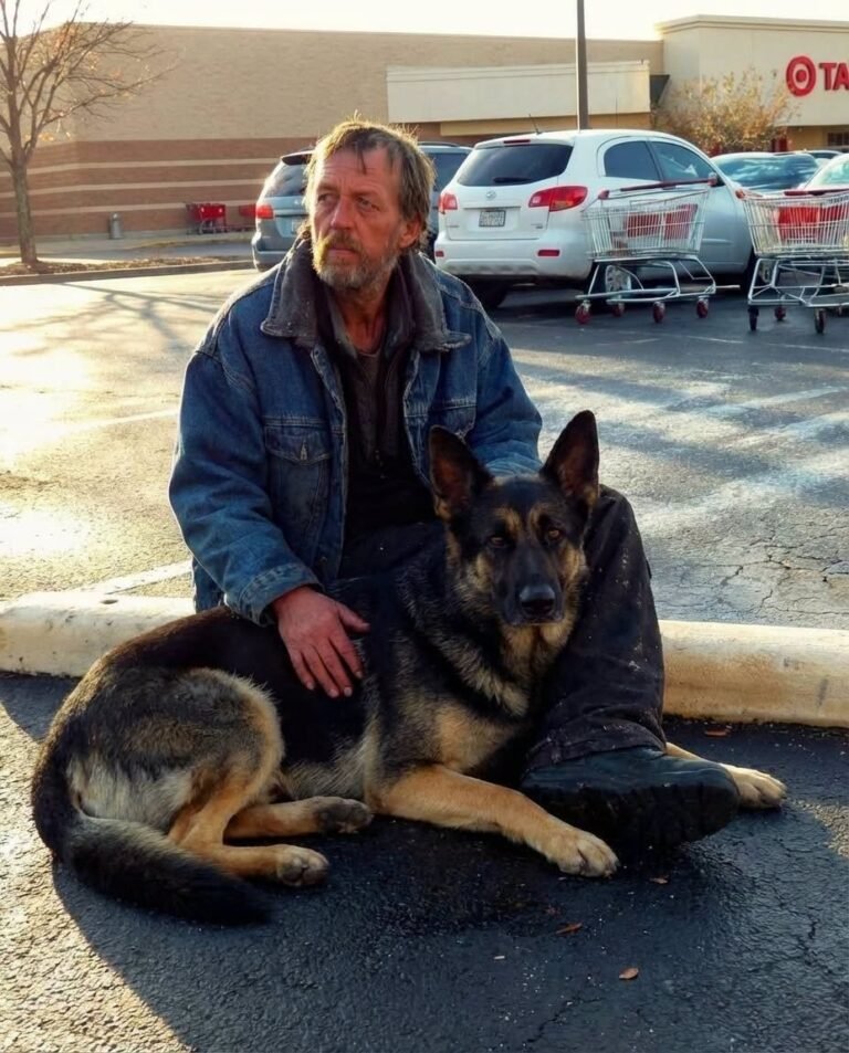 I Helped a Hungry Veteran One Night—A Month Later, My Boss Called Me In and Everything Changed