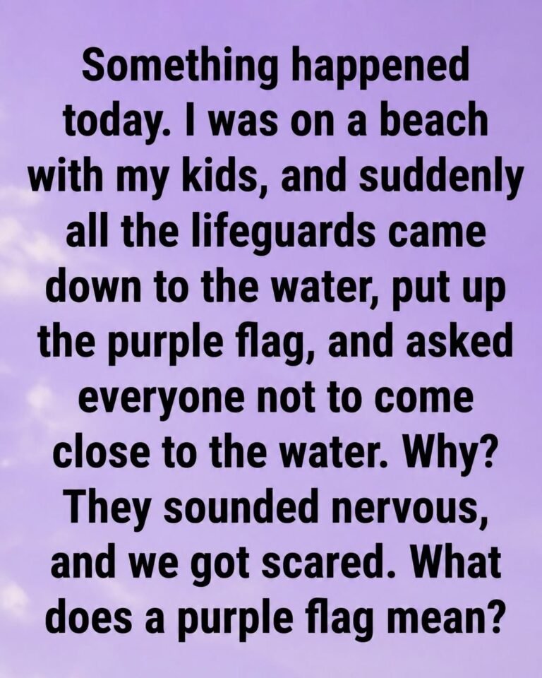 DANGER IN THE WATER WHY THAT PURPLE FLAG AT THE BEACH COULD SAVE YOUR LIFE
