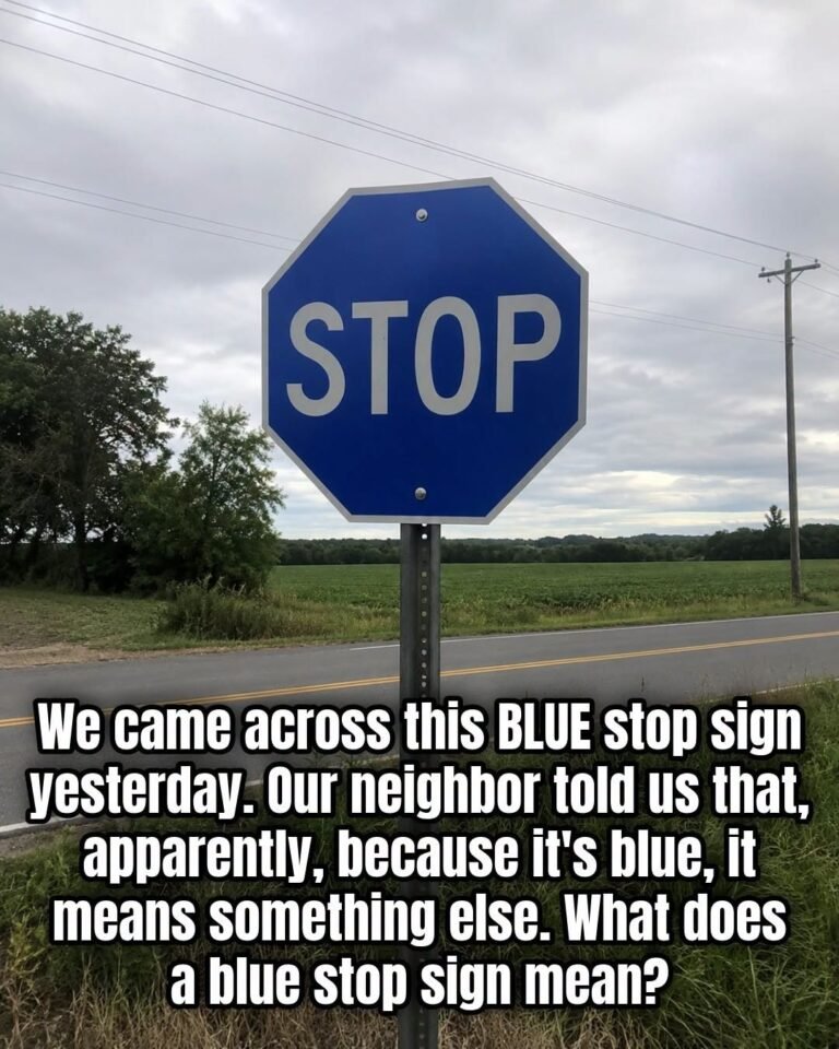The Meaning Behind a Blue Stop Sign