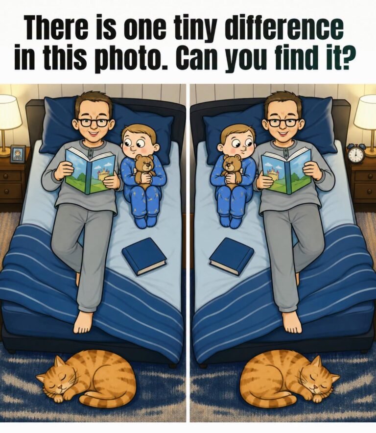 Dad, Baby, and Sleeping Cat: Find 1 Difference.