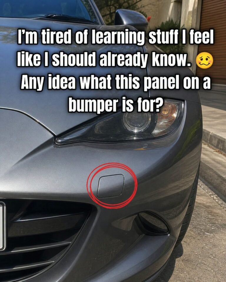 Small Panel on Bumper: Why It’s There