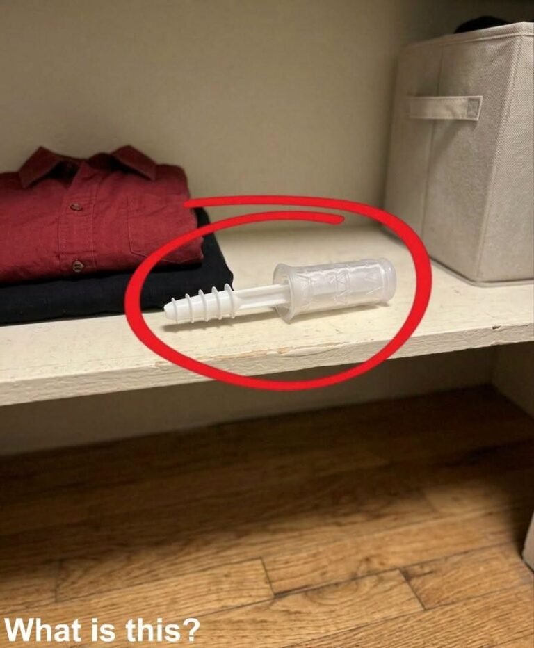 This evening, I opened my wife’s wardrobe and discovered this inside.