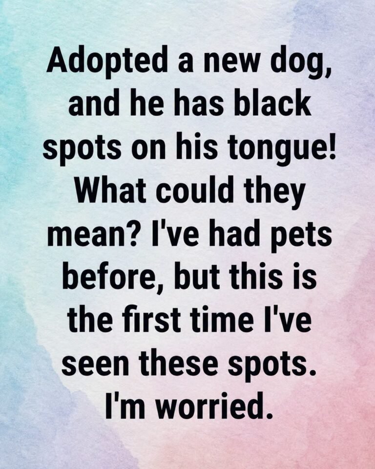 Black Spots on Your Dog’s Tongue: What They Usually Mean and When to Call the Vet