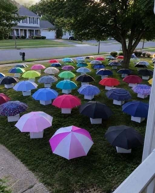 My Son Gave His Umbrella to a Pregnant Stranger in the Rain – The Next Morning, 47 Umbrellas Appeared on Our Lawn, Each With a Numbered Box That Made My Heart Stop