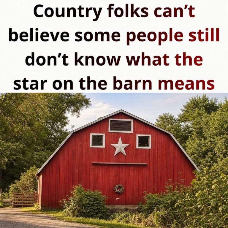 Why You See Stars on Barns: History and Symbolism