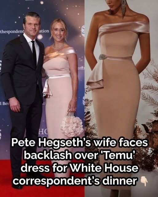 The Dress That Had Everyone Talking