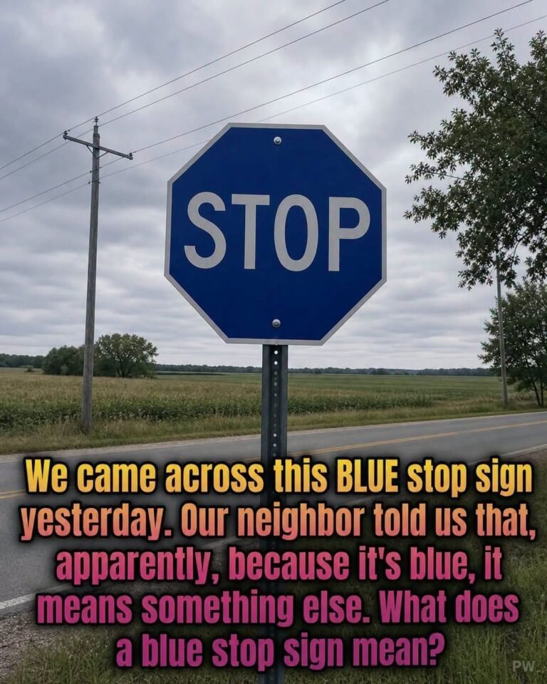 The Meaning Behind a Blue Stop Sign and…