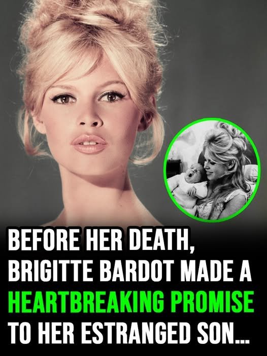Brigitte Bardot’s tearjerking promise to estranged son before her death