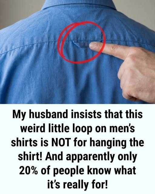 Why Button-Down Shirts Feature a Loop on the Back!