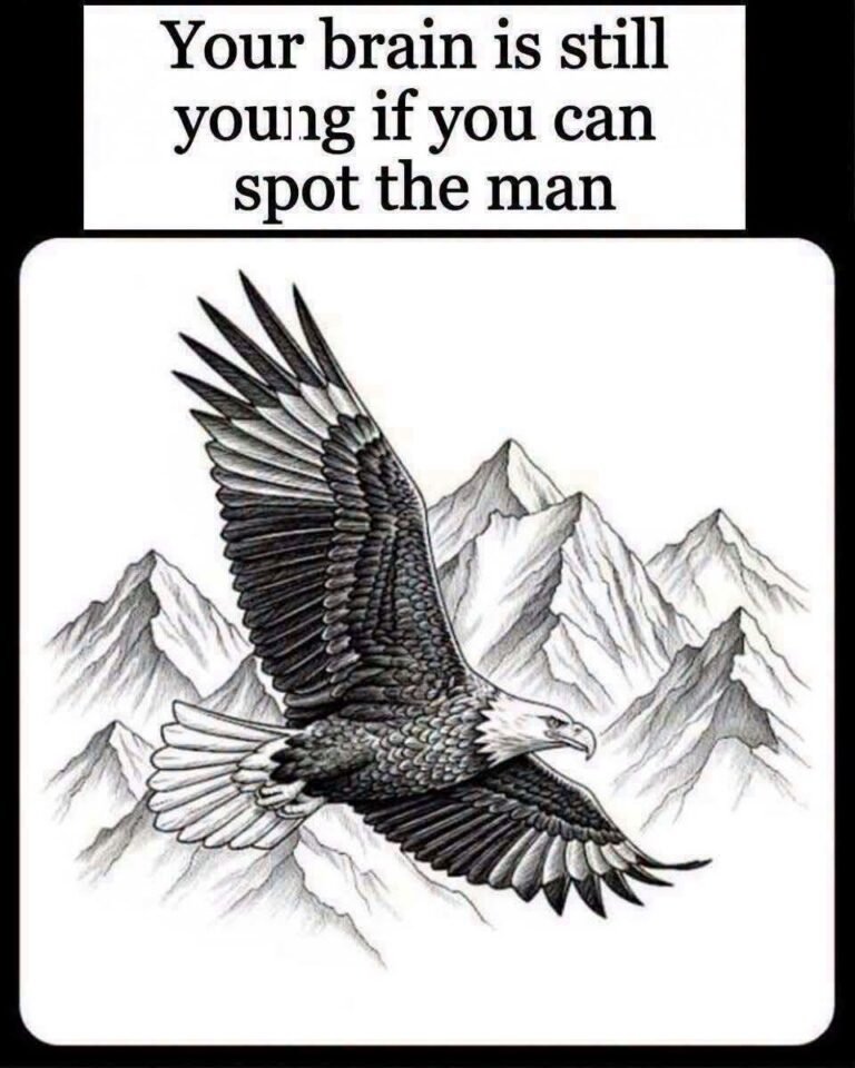 Can You Find the Hidden Figure in This Fascinating Eagle Illusion?