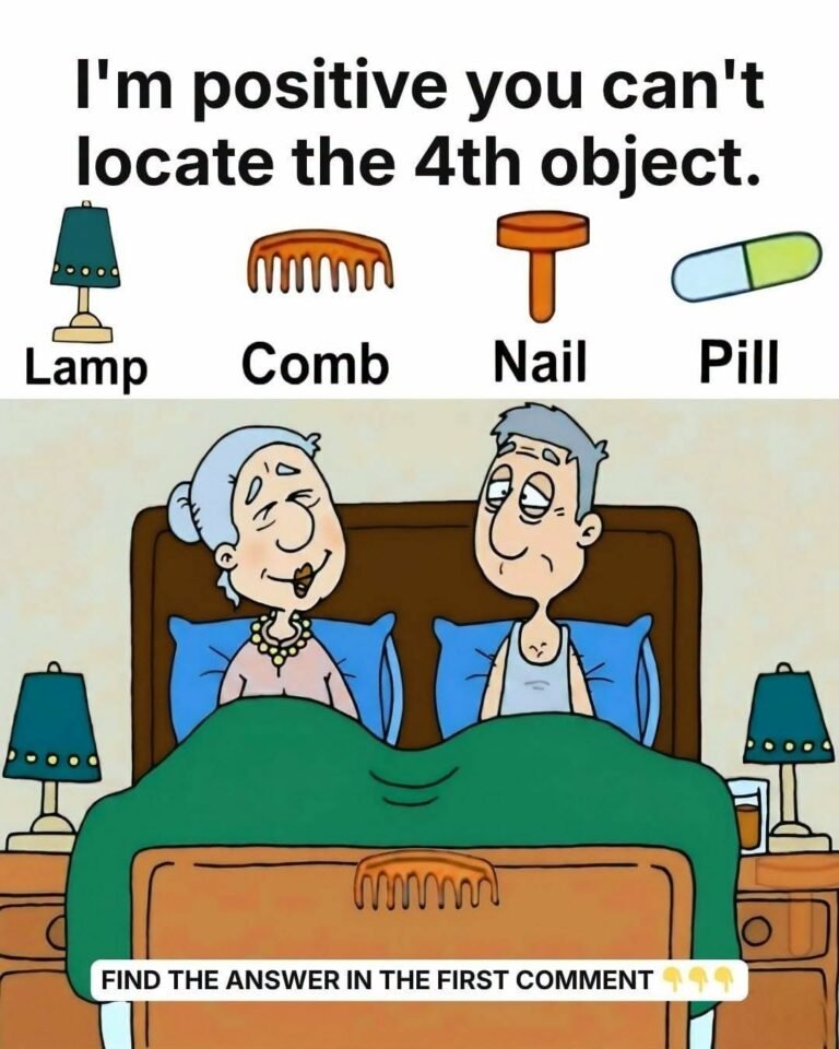 Can You Find the 4 Hidden Objects