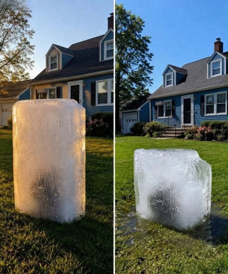Someone Left a Giant Block of Ice on My Lawn Overnight – When It Melted, It Revealed Something That Brought the Authorities to My Door