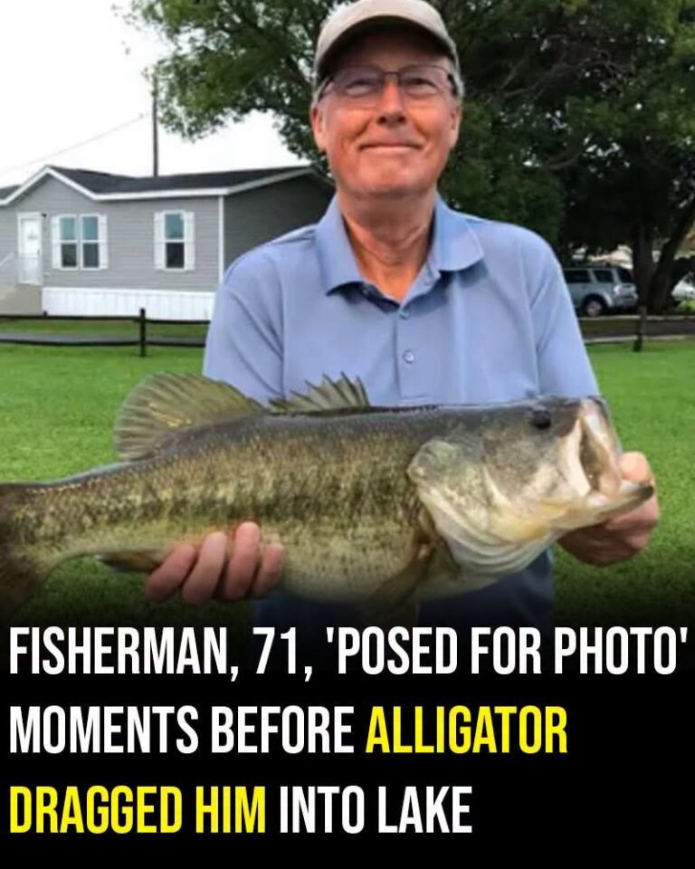 Fisherman, 71, ‘posed for photo’ moments before alligator dragged him into lake
